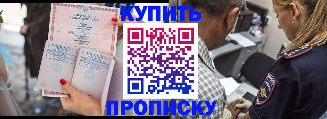 прописка законно в Красноярске